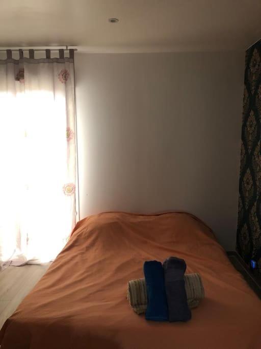 Logement Entier Entree Autonome Ch,Sdd,Cs Privatives Aussonne المظهر الخارجي الصورة